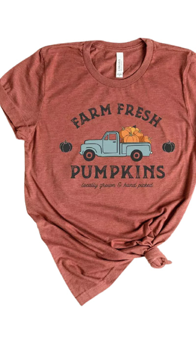 Farm Fresh Pumpkins Top - Rust - Piper and Hollow Boutique