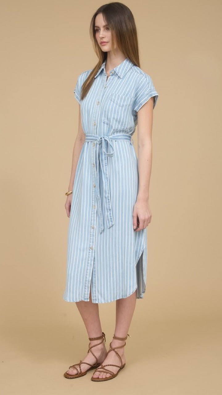 Champagne and Chambray Dress