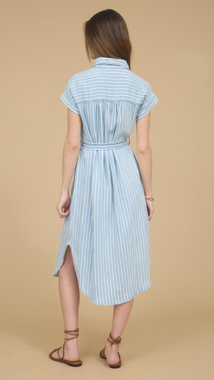Champagne and Chambray Dress