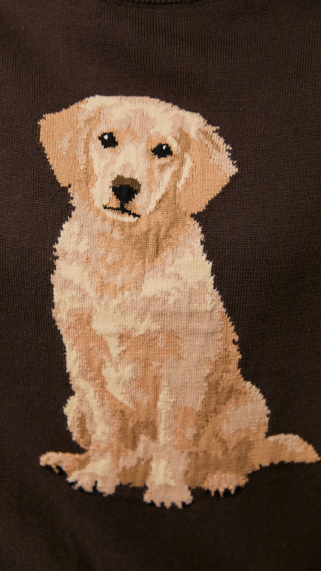 Our Girl Goldie Sweater