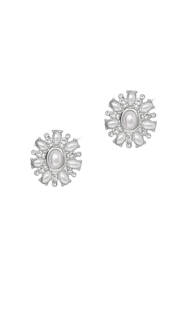 For The Portfolio  Earrings - Silver