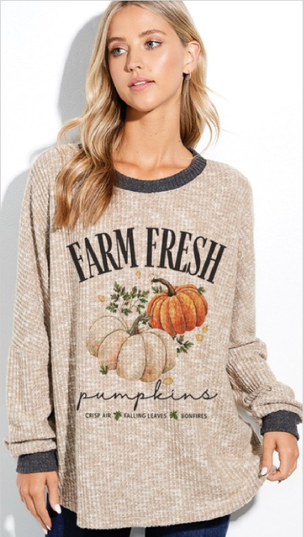 Farm Fresh Pumpkins Top