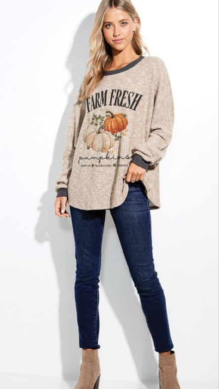 Farm Fresh Pumpkins Top