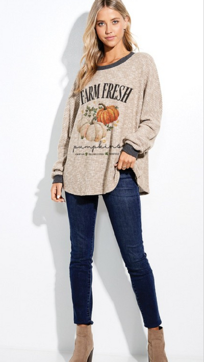 Farm Fresh Pumpkins Top